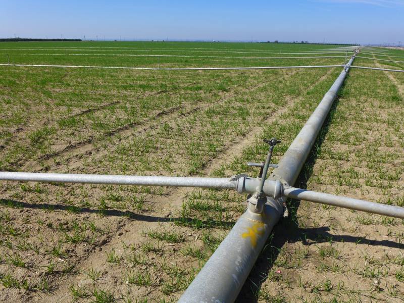 irrigation-pipes-and-sprinklers-are-laid-out-in-a-2026-03-26-11-42-56-utc (1)