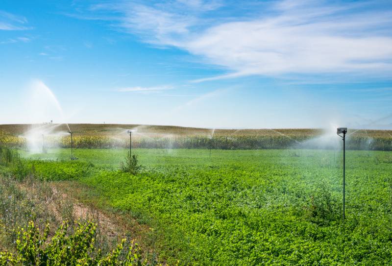 watering-sprinkler-on-the-field-2026-03-10-00-55-48-utc (1)