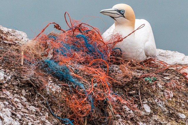 Plásticos reciclados por pirolisis